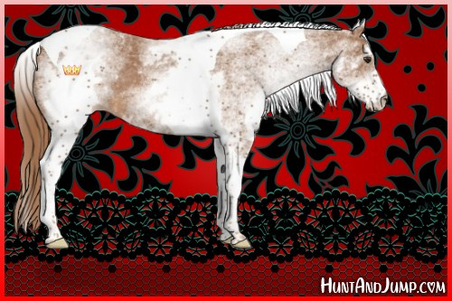 Horse Color:White Spotted Chestnut Tobiano 