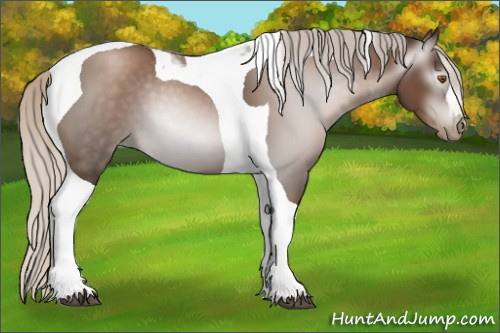 Horse Color:Gray Silver Black Pearl Tobiano