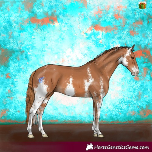 Horse Color:Chestnut Sabino 