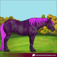 Horse Color:Watercolor Midnight Liver Chestnut Ice 