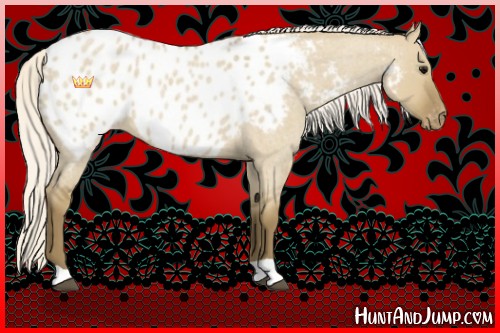 Horse Color:Silver Smoky Grullo Roan Appaloosa