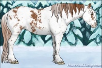 Horse Color:Chestnut Sabino
