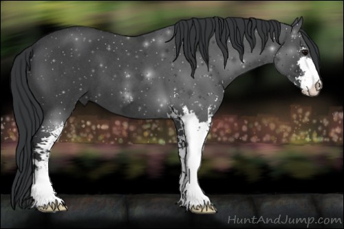 Horse Color:Blue Roan Sabino 