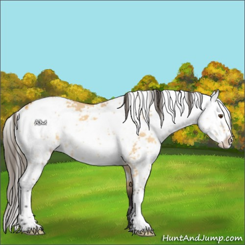 Horse Color:Buckskin Dun Sabino 