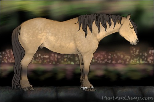 Horse Color:Buckskin Rabicano 