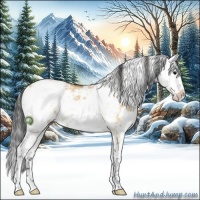 Horse Color:Bay Dun Sabino
