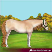 Horse Color:Red Onyx Pearl 