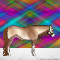 Horse Color:Red Onyx 