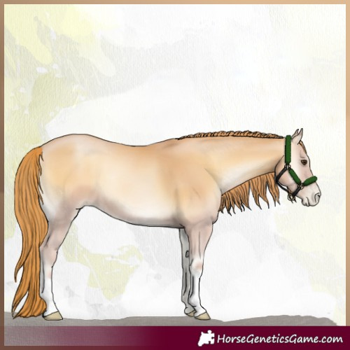 Horse Color:Red Onyx Pearl 