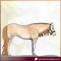 Horse Color:Red Onyx Pearl