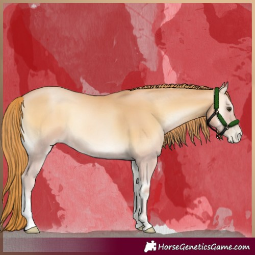 Horse Color:Red Onyx Pearl 