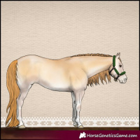 Horse Color:Red Onyx Pearl 
