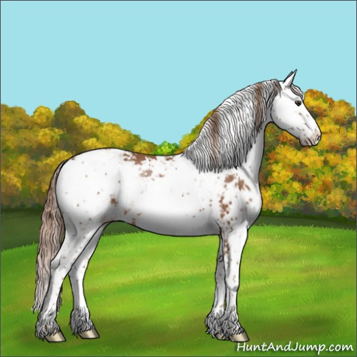 Horse Color:Chestnut Sabino