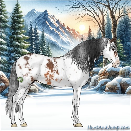 Horse Color:Bay Sabino