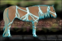 Horse Color:Thunderstruck Chestnut 