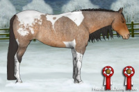 Horse Color:Buckskin Roan Tobiano Appaloosa Rabicano 