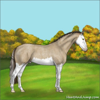 Horse Color:Classic Cream Champagne Roan Splash 