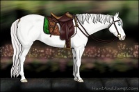 Horse Color:Platinum Perlino Dun