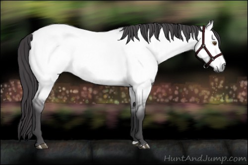 Horse Color:Platinum Buckskin Roan Dun