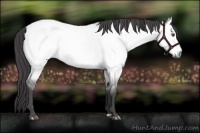 Horse Color:Platinum Buckskin Roan Dun 