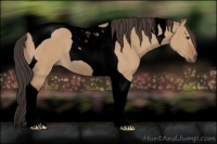 Horse Color:Void Bay Dun Tobiano 