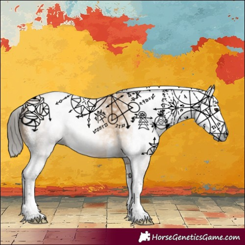 Horse Color:Gray Buckskin Sabino