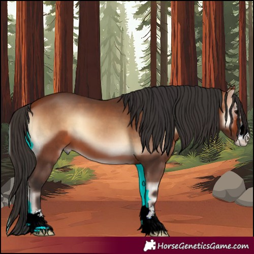 Horse Color:Bay Onyx 