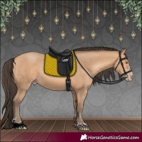 Horse Color:Amber Champagne 