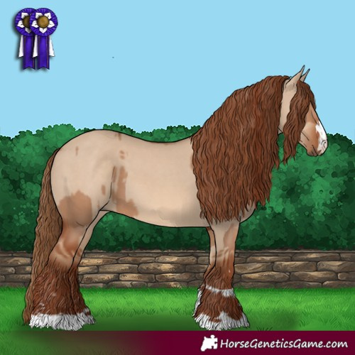Horse Color:Red Dun and Red Dun