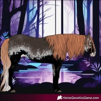 Horse Color:White Spotted Liver Chestnut 