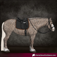 Horse Color:Silver Grullo Ice Sabino