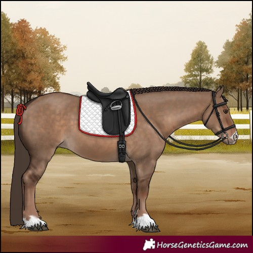 Horse Color:Liver Red Dun and Liver Red Dun
