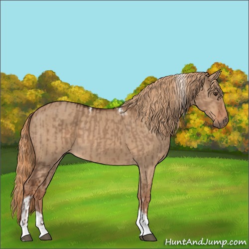 Horse Color:Liver Red Dun Tobiano and Red Dun Tobiano