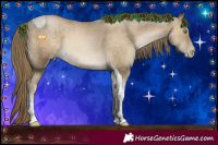Horse Color:Smoky Black Pearl Tobiano