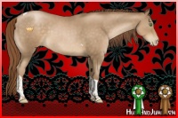 Horse Color:Smoky Black Pearl Tobiano Rabicano