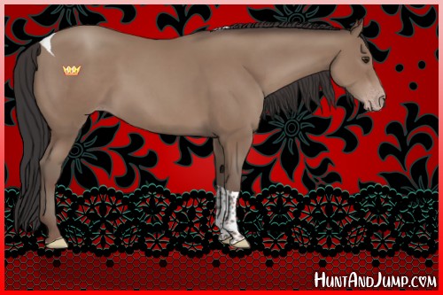 Horse Color:Classic Champagne Tobiano Rabicano 