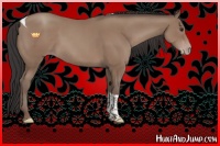 Horse Color:Classic Champagne Tobiano Rabicano