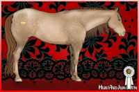 Horse Color:Smoky Black Pearl Tobiano Rabicano