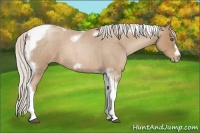 Horse Color:Silver Blue Roan Pearl Tobiano Frame 
