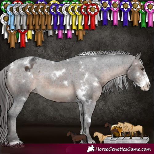 Horse Color:White Spotted Brown Sabino Appaloosa Rabicano 