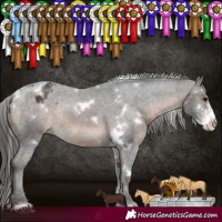 Horse Color:White Spotted Brown Sabino Appaloosa Rabicano 