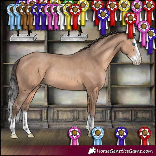 Horse Color:Sable Champagne Sabino Splash Rabicano 