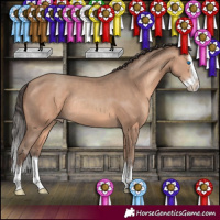 Horse Color:Sable Champagne Sabino Splash Rabicano 