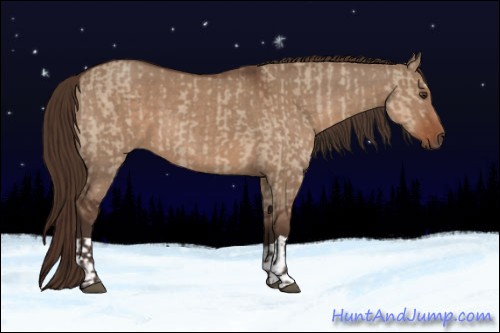 Horse Color:Liver Red Dun  and Liver Red Dun 