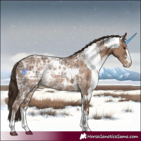 Horse Color:Liver Red Dun Ice Appaloosa and Liver Red Dun Ice