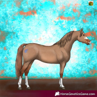 Horse Color:Red Dun  and Red Dun 