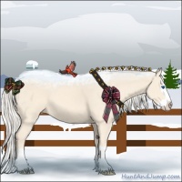 Horse Color:Cremello Splash  and Cremello Splash 