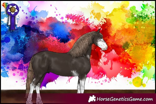 Horse Color:Liver Chestnut Sabino