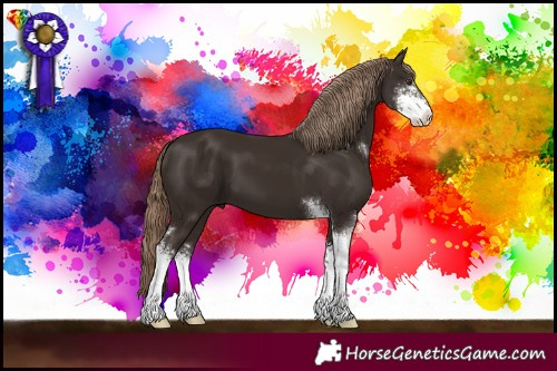 Horse Color:Liver Chestnut Sabino 