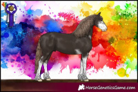Horse Color:Liver Chestnut Sabino 